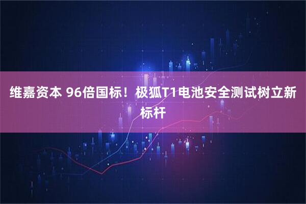 维嘉资本 96倍国标！极狐T1电池安全测试树立新标杆