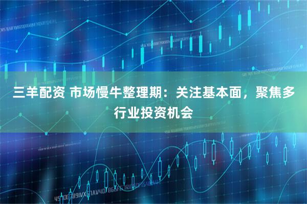 三羊配资 市场慢牛整理期：关注基本面，聚焦多行业投资机会