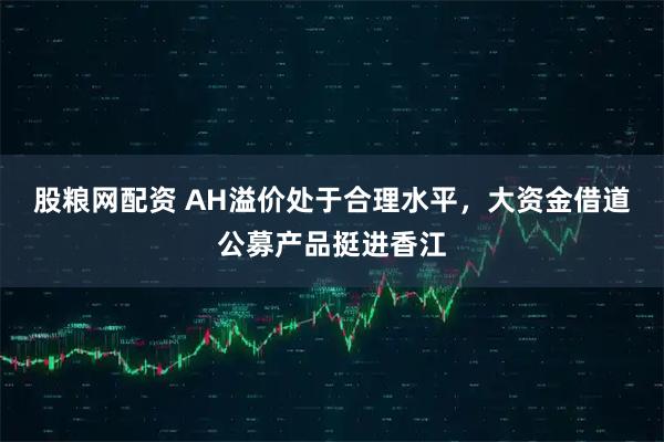 股粮网配资 AH溢价处于合理水平，大资金借道公募产品挺进香江