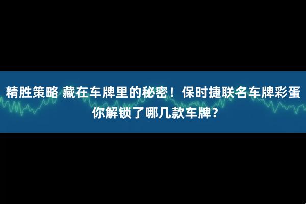 精胜策略 藏在车牌里的秘密！保时捷联名车牌彩蛋 你解锁了哪几款车牌？